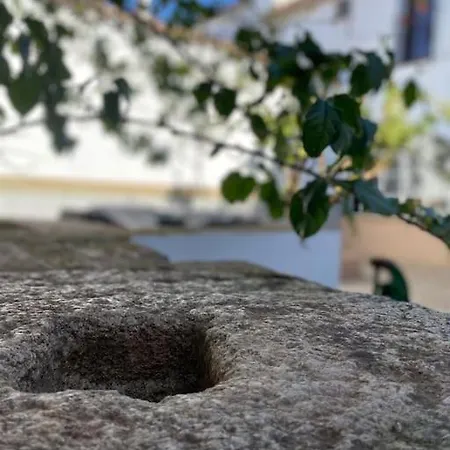 Apartman Casa Del Marques *