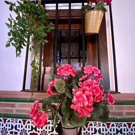 Casa Del Marques Apartment Fregenal de la Sierra