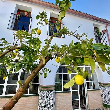 Casa Del Marques *
