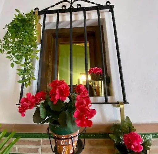 Lägenhet Casa Del Marques Fregenal de la Sierra